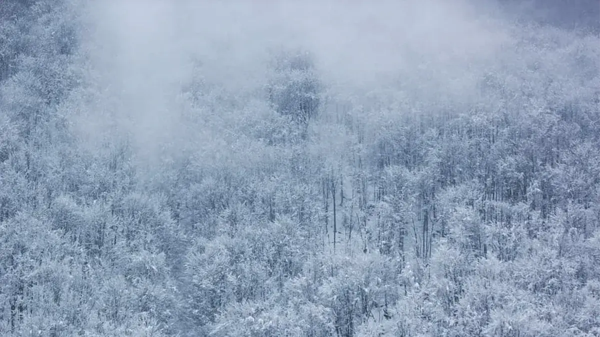 Рождественские морозы и крещенская оттепель: какие температурные колебания ожидаются в январе 2023