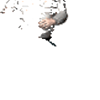 трибуна.gif