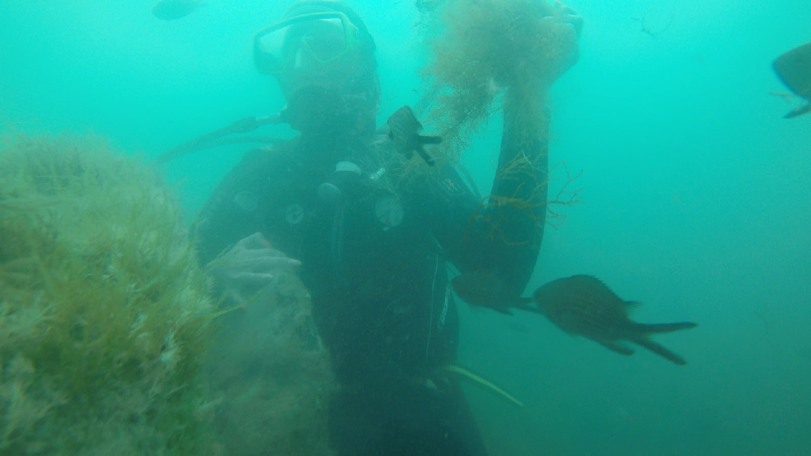 Дайвинг. Туризм. Экстрим, страх, эмоции.