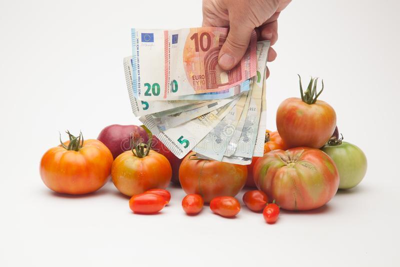 5 удивительных способов заработать деньги на помидорах: советы от успешного производителя томатов