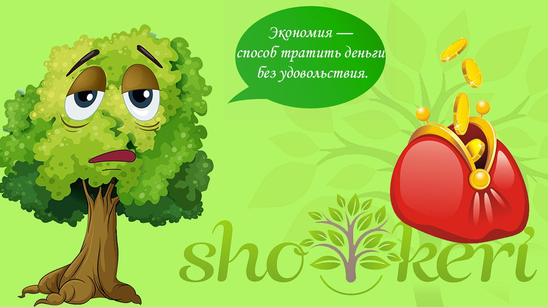 Список из более двадцати советов по экономии для начинающих