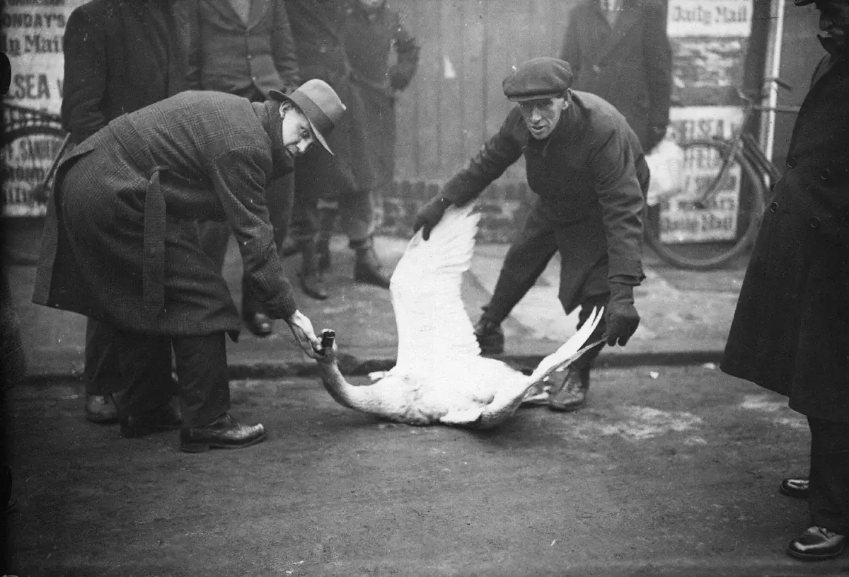 Великий смог в Лондоне: как мирная стихия унесла 12 000 жизней