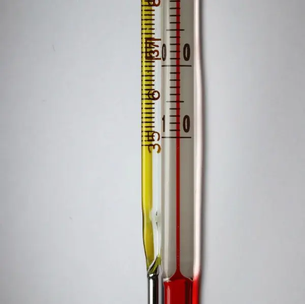 Измерение температуры динозавров с помощью яичной скорлупы