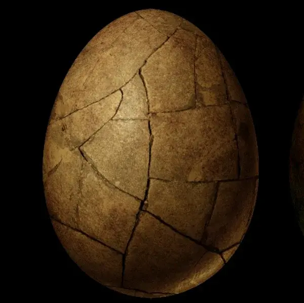 Измерение температуры динозавров с помощью яичной скорлупы