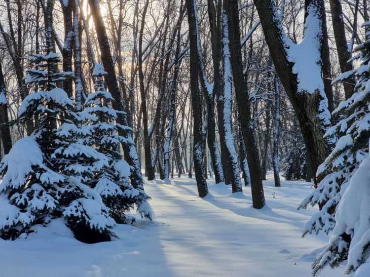 Публичное уведомление от 8 января: ожидаются сильные морозы