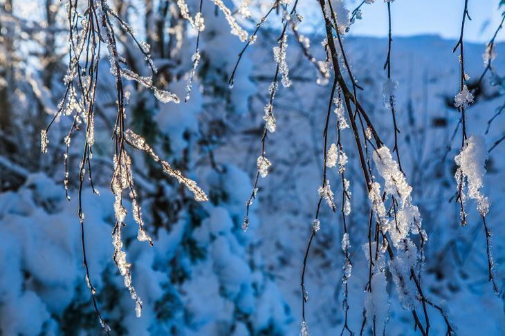 Народные объявления на 11 января: Если сегодня тепло, значит пришла весна