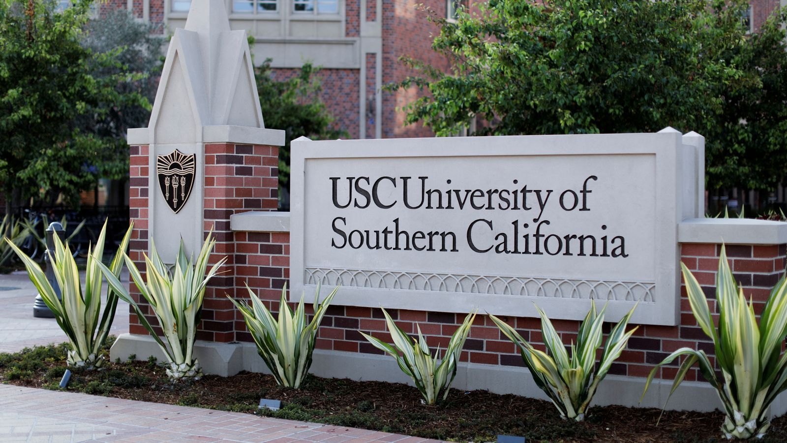 Университетский факультет удаляет слово "поле" из-за расистских "коннотаций"