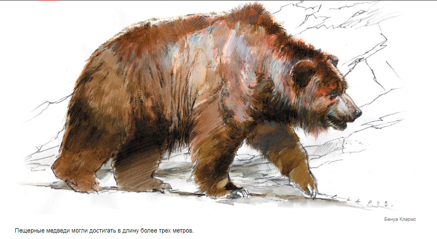 Люди каменного века вышли на улицу в мехе пещерного медведя 300 000 лет назад.