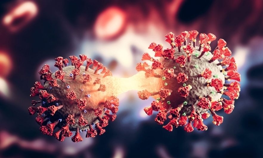 Новый штам короновируса "Кракен" уже в России!