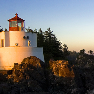Лаврентьева Александра Евгеньевна