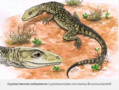 Предки ящериц жили дольше, чем считалось?