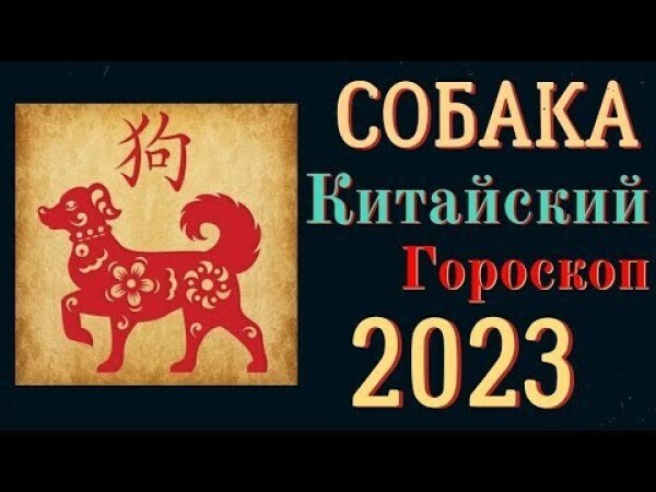 Гороскоп Финансы Собака 2023