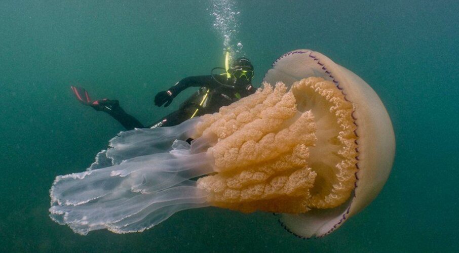 Захватывающие изображения, которые вы не должны пропустить