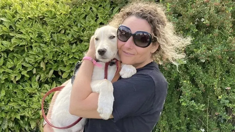 Все больше владельцев отказываются от домашних животных из-за кризиса стоимости жизни Опубликовано