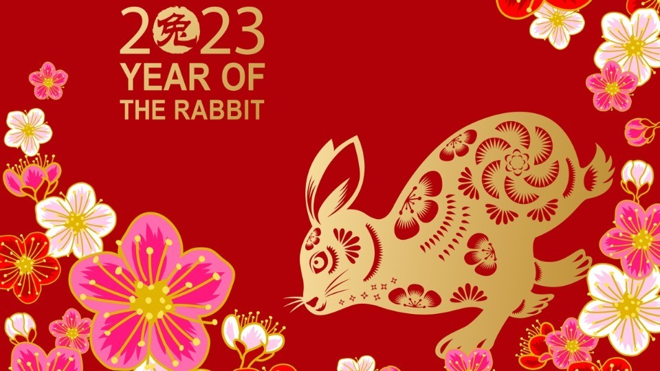 22 ЯНВАРЯ 2023 ГОДА В КИТАЕ НАЧИНАЕТСЯ НОВЫЙ ГОД, ...