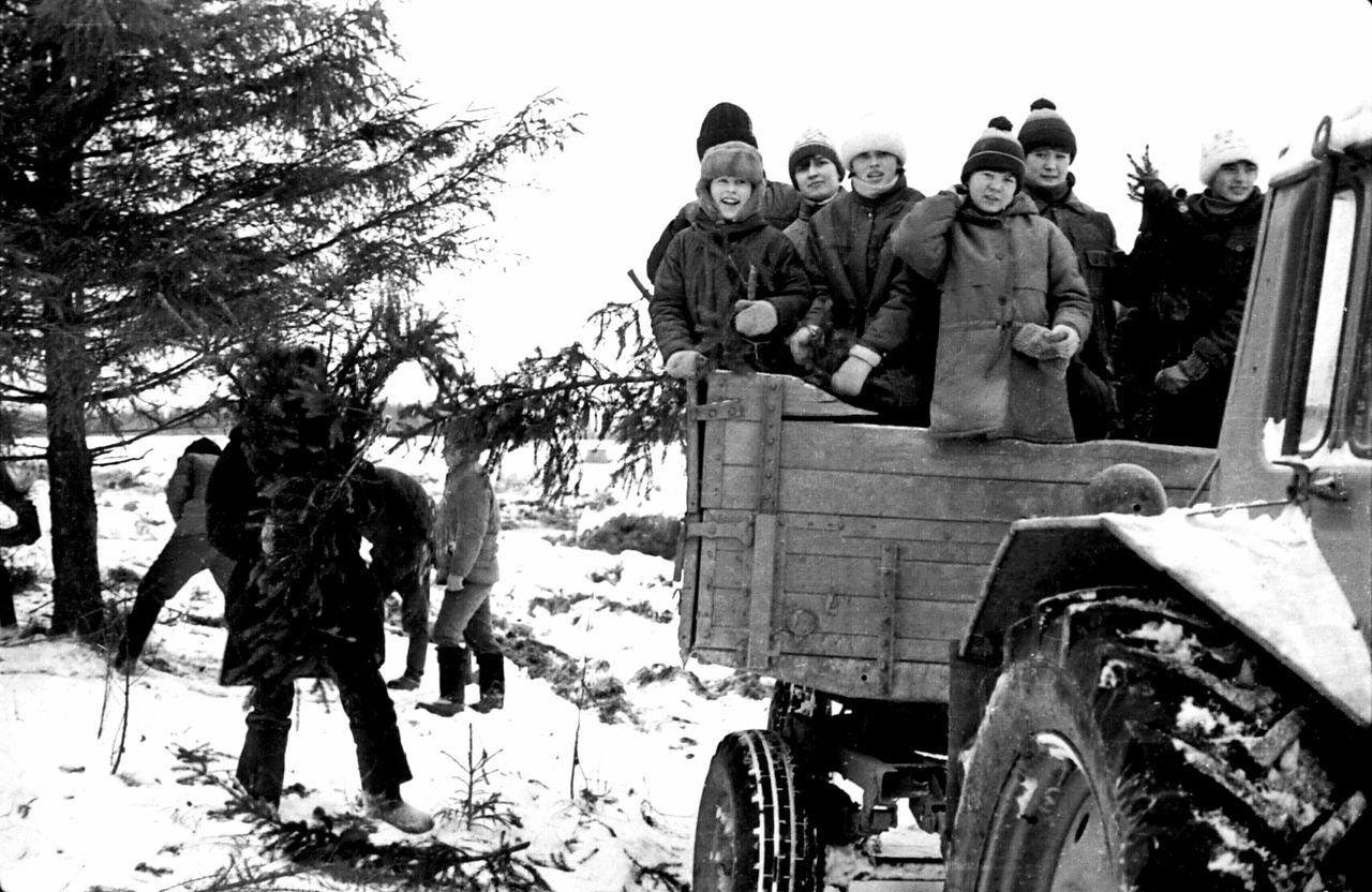 В той стране под названием СССР... Воспоминания о далёких 80-х, о школьных поездках на заготовку хвойного лапника