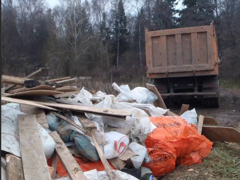 Штраф водителей за выброс мусора из машины, кто и сколько заплатит?