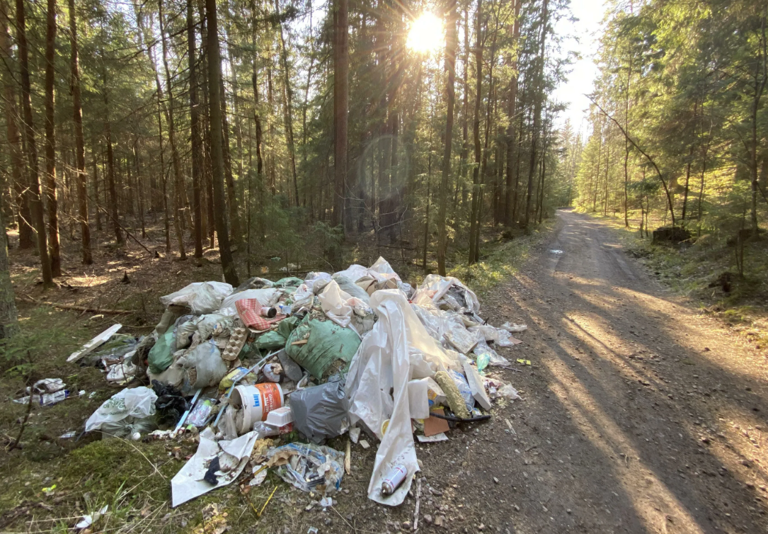 Штраф водителей за выброс мусора из машины, кто и сколько заплатит?
