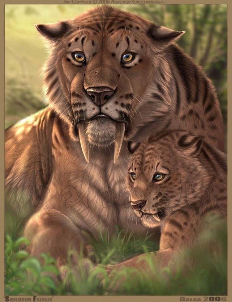 Саблезубый Тигр.