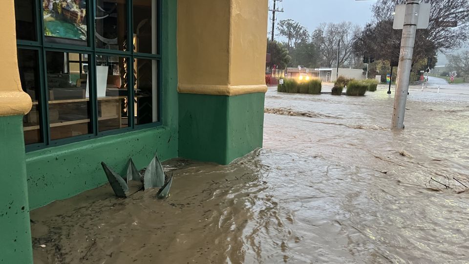 Грязь, плесень и разрушения: калифорнийским предприятиям грозит катастрофический ущерб