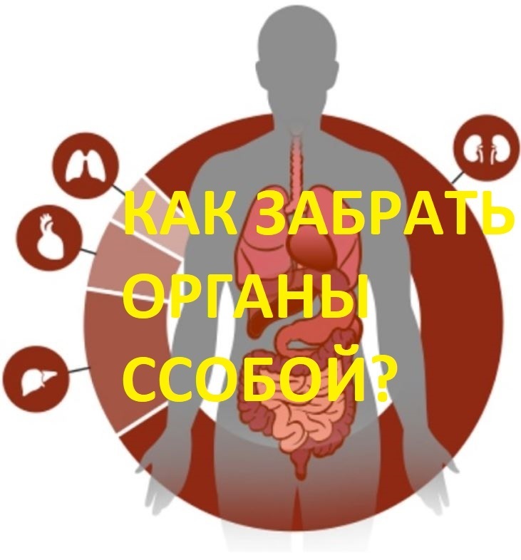 Запрет донорства органов после смерти