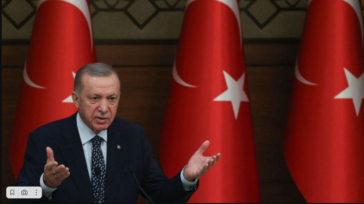 Протест против повешения чучела Эрдогана в Швеции возмущает Турцию