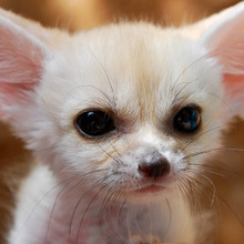 Юрий, г. Минеральные Воды