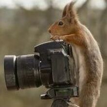 Виталий, г. Миллерово