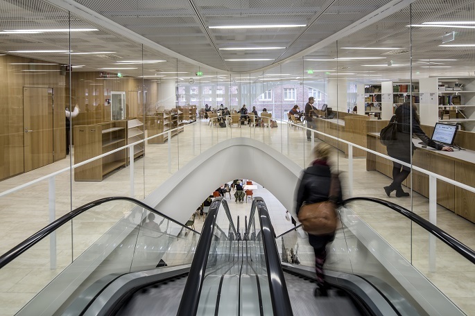 Высшее образование должно обратить внимание на равенство сотрудников из числа меньшинств