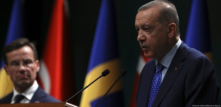 Турция вызвала посла Швеции из-за курдского видео