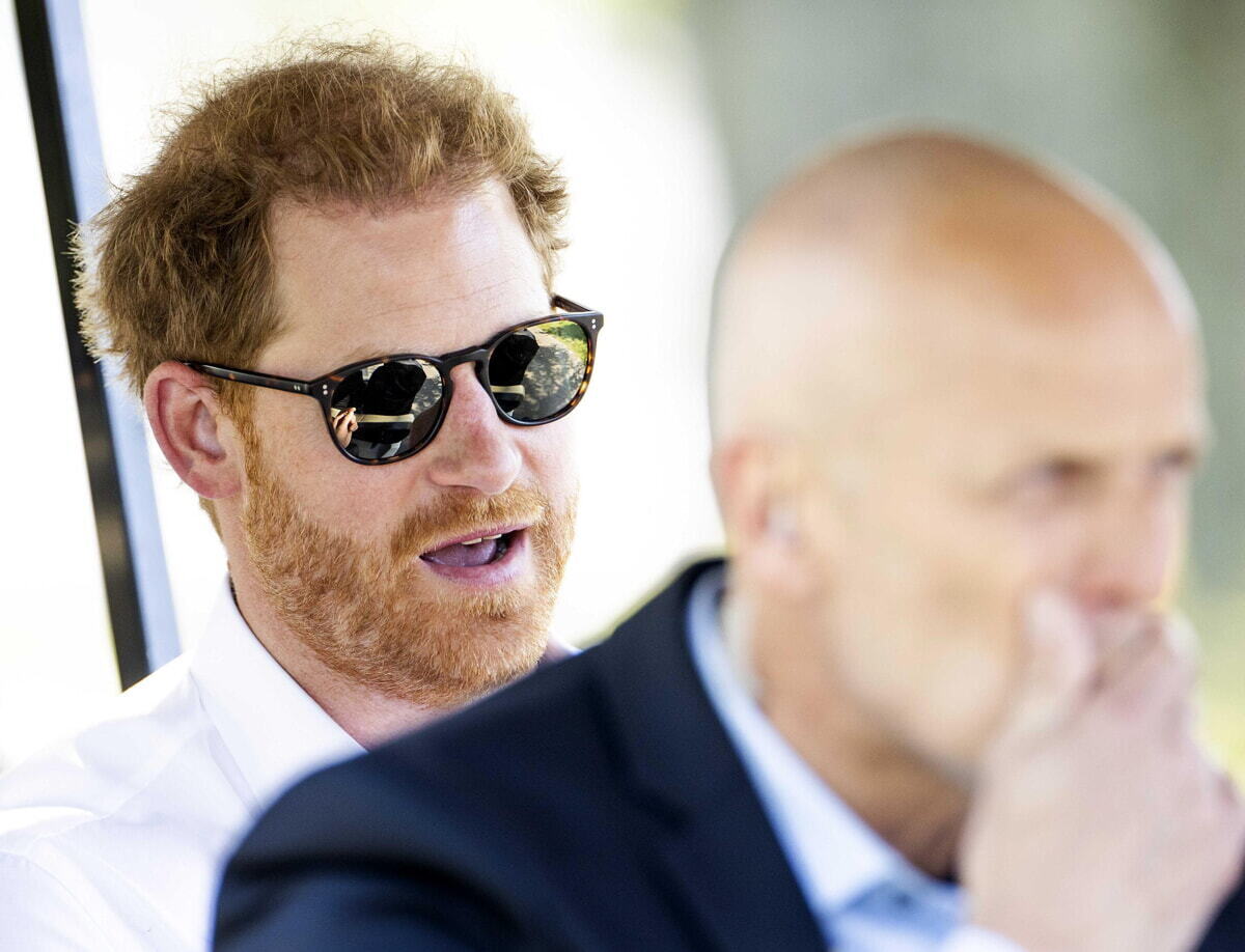 Гарри встречает уединение, этот незнакомец