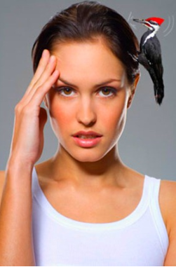 Головная боль. Причины и способы лечения