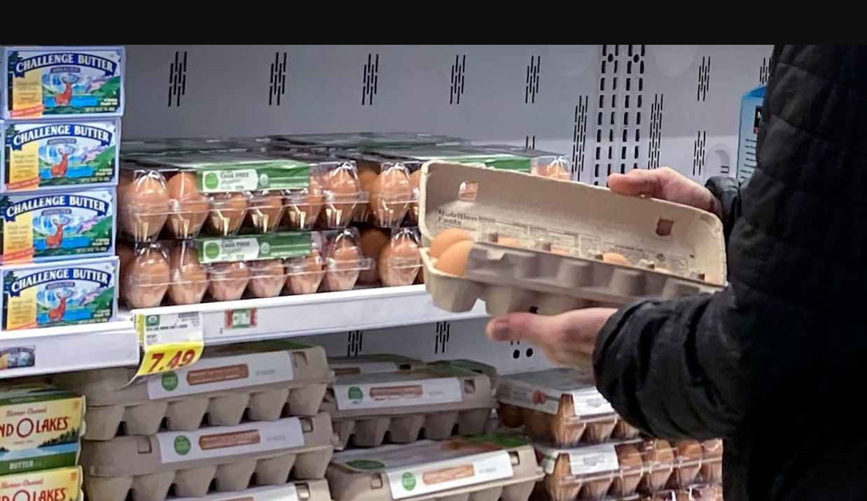 Рост цен на яйца означает рекордную прибыль крупнейшего производителя яиц в США