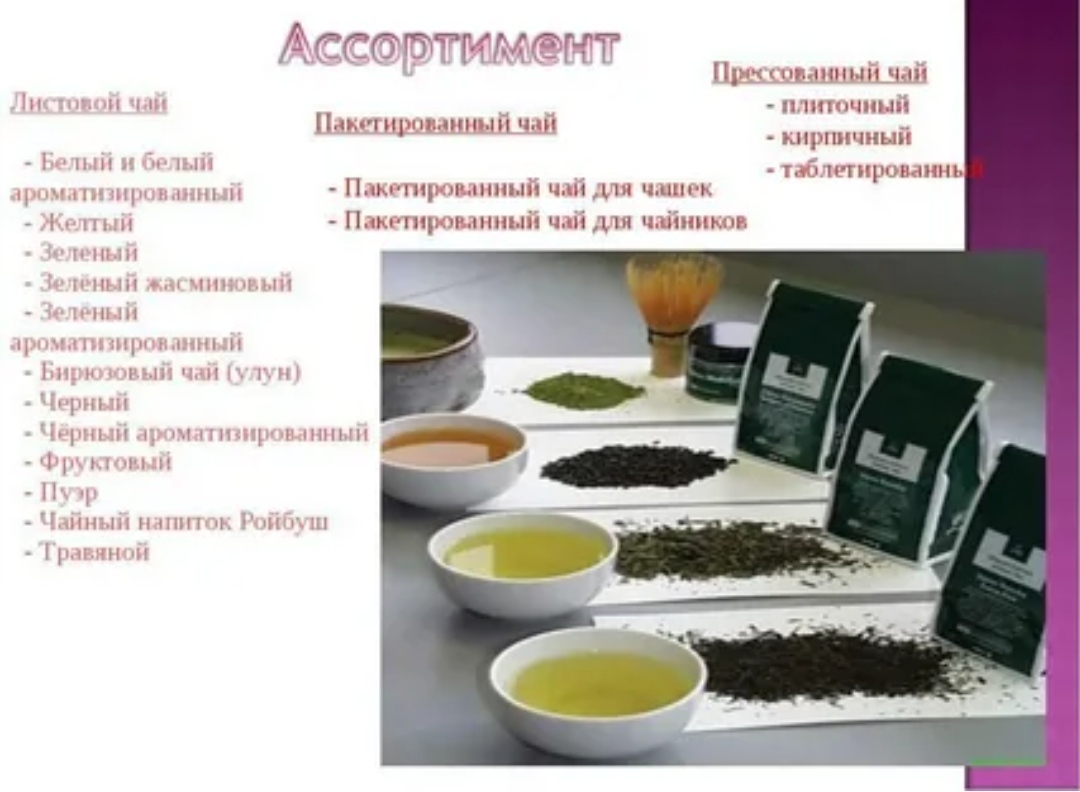 Самый распространенный вид чая. Ассортимент чая. Классификация чая. Классификация чая по видам. Характеристика ассортимента чая.