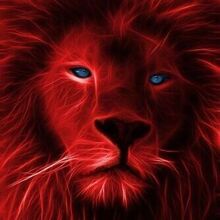 Шериф, г. Липецк