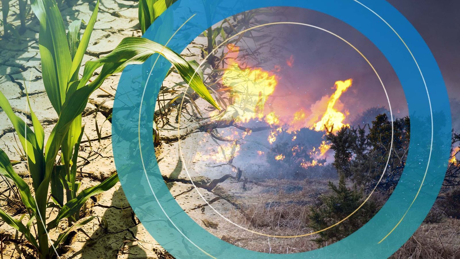 Сможет ли правительство убедить людей в том, что законодательство об нулевом уровне выбросов — это путь к экономическому росту?