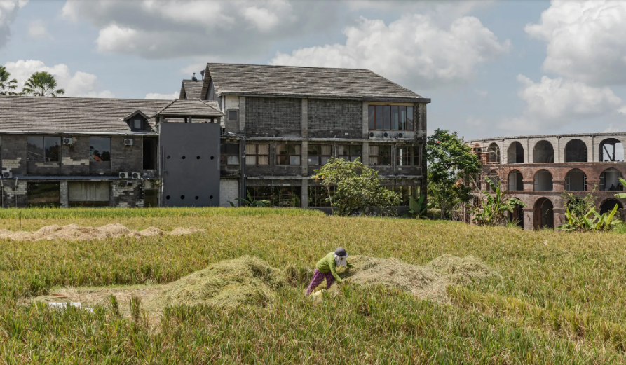 "Извините, мы из Москвы" - На Бали враждующие стороны учатся жить вместе!