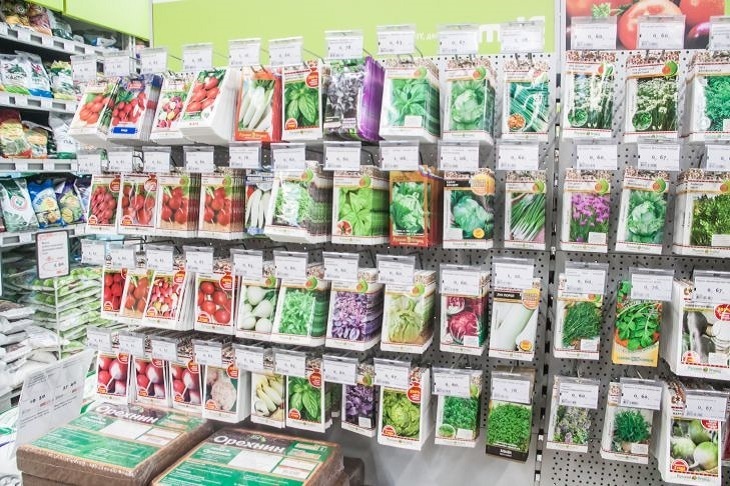 Все семена всходят на 100%: Чем замочить перед посевом