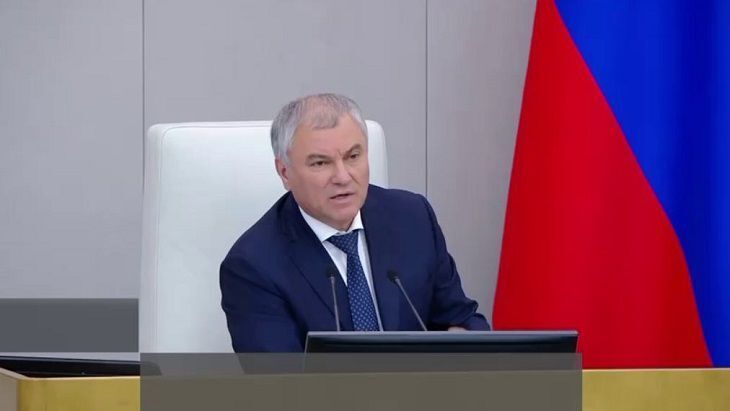 «Закон для хулиганов». Володин предлагает конфискацию имущества для дискредитации Вооруженных Сил РФ