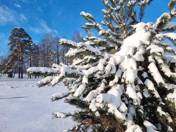 14 января Фольклорная примета: Лето будет холодным или жарким