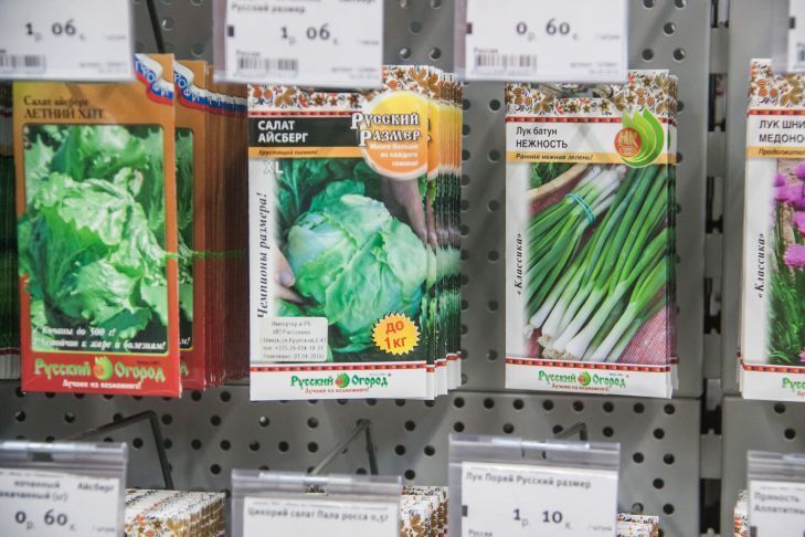 Как засолить семечки в домашних условиях: эффективные средства