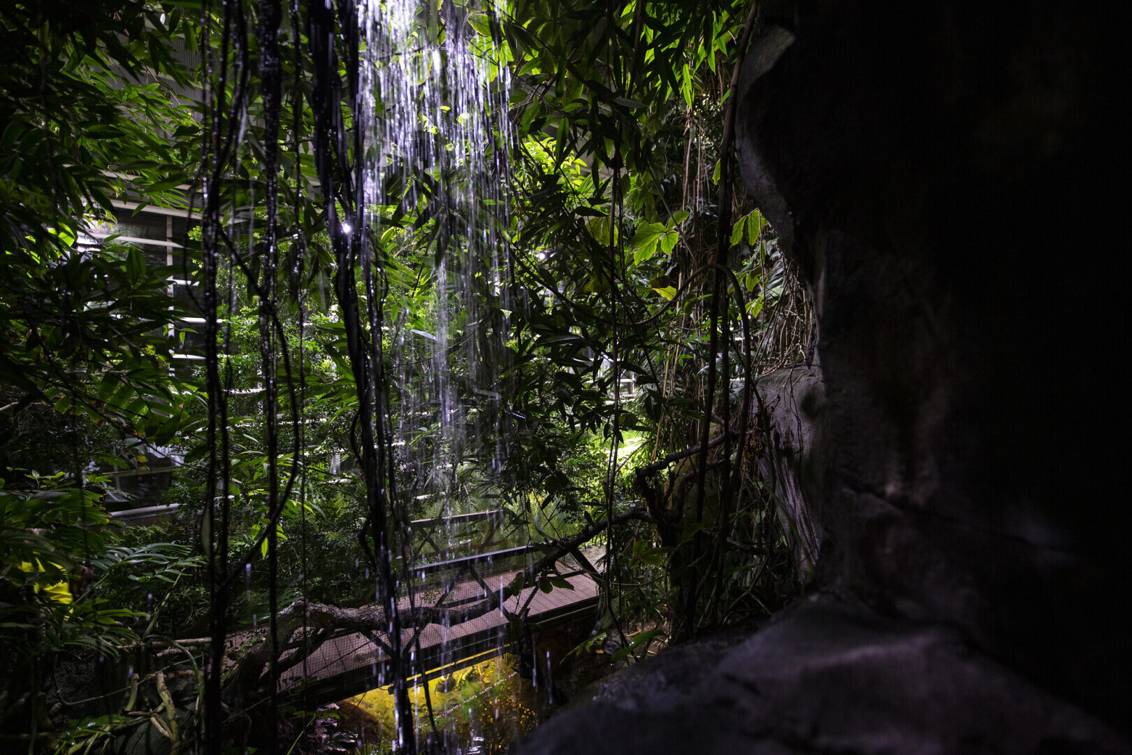 Удивительный зоопарк Хельсинки – Коркеасаари