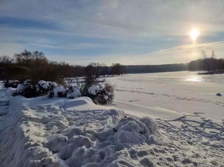 Прогноз погоды на 15 января: грядет волна холодов
