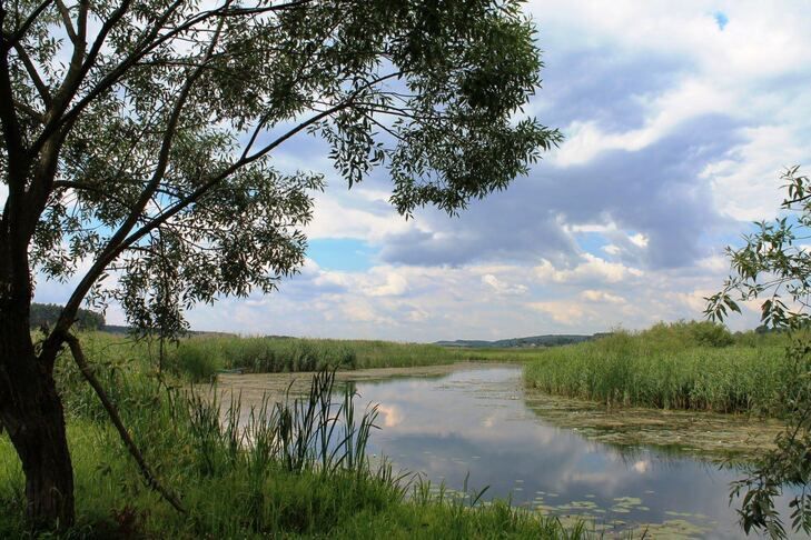 Коваль: Весь периметр Ровенской области у границы с Беларусью усеян минами