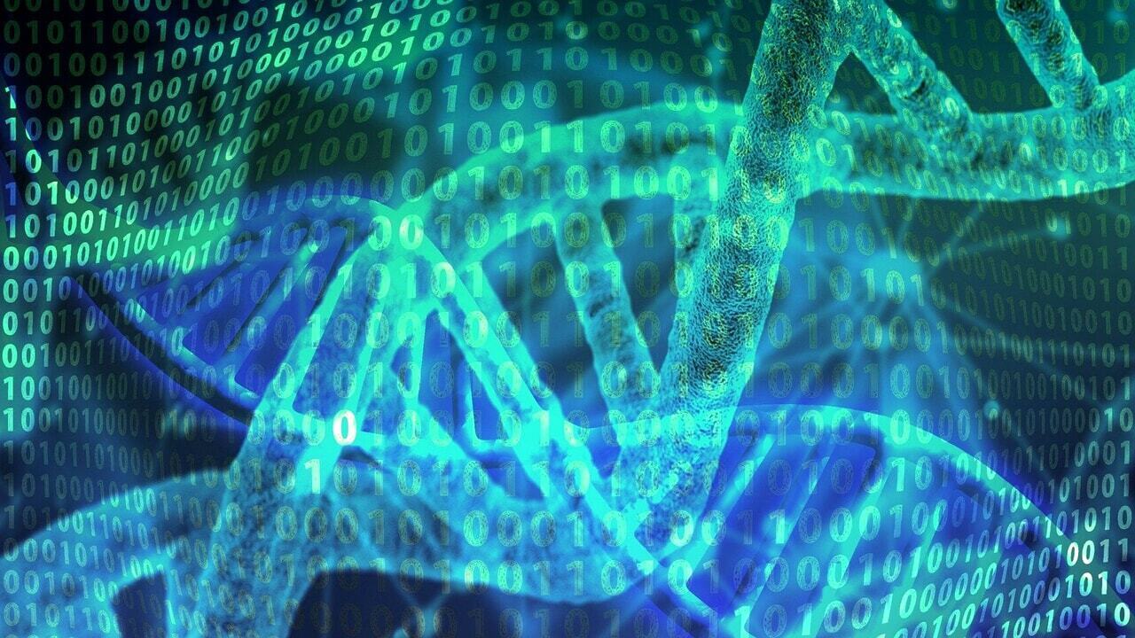 Приведет ли постепенное исчезновение Y-хромосомы к вымиранию мужчин?