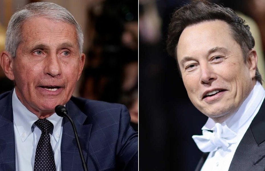 Доктор Фаучи отстреливается от Илона Маска за его призывы ‘преследовать Фаучи’