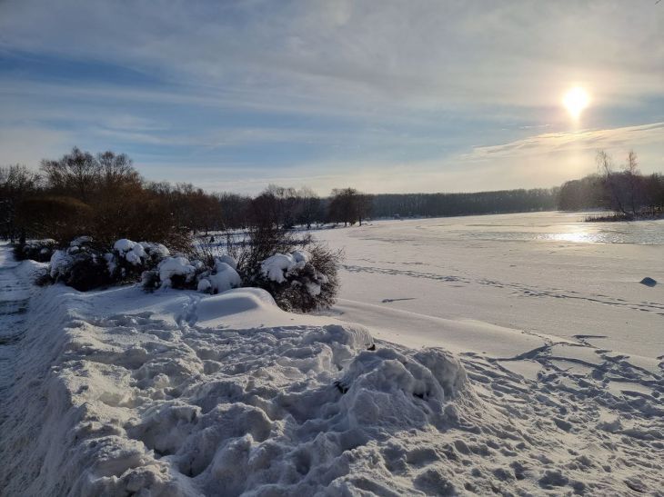 Гордеев день: Что нужно для счастья Дана 16 января