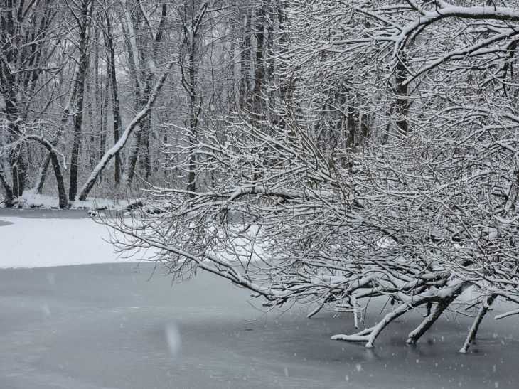 Фольклор 10 января: Если в этот день идет снег, то какое лето?