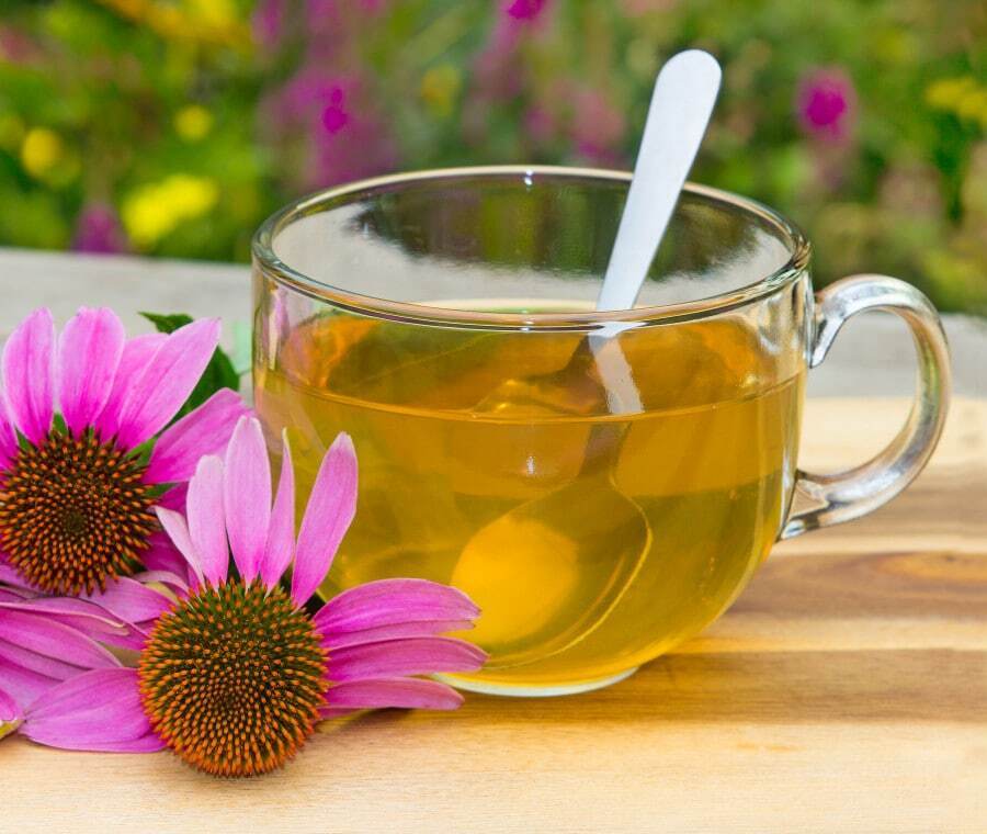 Ингредиенты для травяного чая, укрепляющего иммунную систему