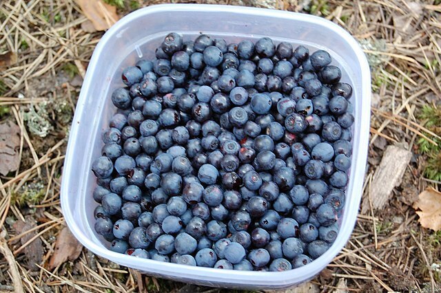 Эти Мощные Продукты помогут Вашей коже Сиять.